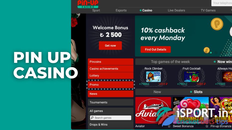 casino pin up online game betting slots